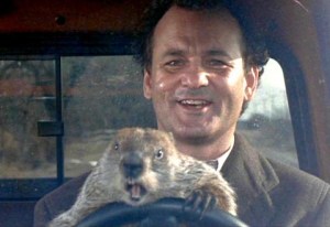 Picture of Bill Murray and a groundhog driving a car. From the film Groundhog Day.