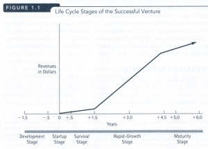 Graph showing revenue relative to the life cycle stages of a successful business venture