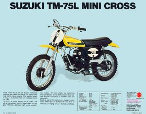 Picture of a Suzuki motorcycle